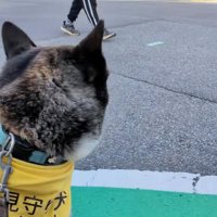 小学生を見守るオレオくん