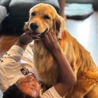 遊ばれるエルちゃん