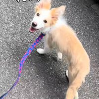 何度も確認するソラくん