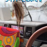 音を立てて動く車のワイパー