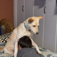 スノーちゃんに顔をうずめる息子さん2