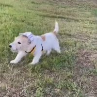 かけがえのない宝物