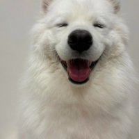 フワフワのくららちゃん