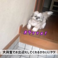 てんぽさんの熱烈歓迎4