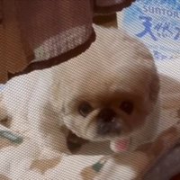 誰だ
