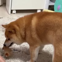 うにくんに奪われた！