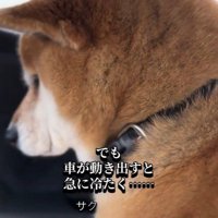 朔くんの態度が一変！