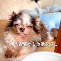 すべて抜歯することに