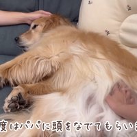 甘えん坊のおからちゃん