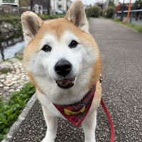 笑顔