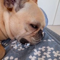 どんな夢を見ているのかな？