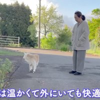 ぽかぽかと暖かい散歩日和