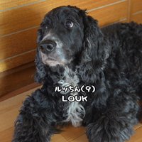 ルーク君に「入る？」と聞いたら…