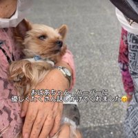話しかけられると…