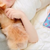 犬を撫でる女性