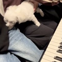 「母としての自覚」に突き動かされてる…？