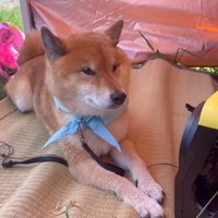 その後はのんびり過ごしました♪