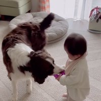 ププくんと娘さん7