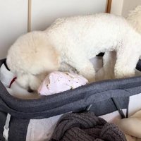 体勢を整えて…