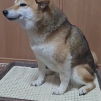「大好きな人だ！！」