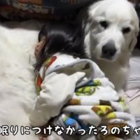 犬に寄りかかる子ども