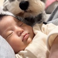 赤ちゃんをじーっ…