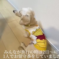 数日間ひとりぼっちで過ごすことも…