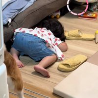 ソファの下を覗く女の子