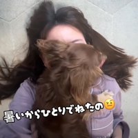 顔の上に乗る犬4