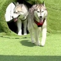 今では毎日楽しい！