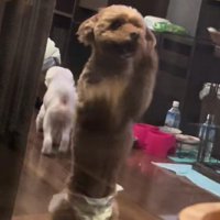 「なんか疲れた」