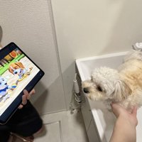 洗面所