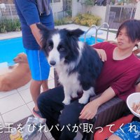 男性が触れると…