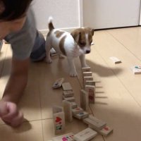 男の子も楽しんでます