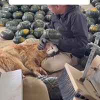 パパも思わずニッコリ笑顔