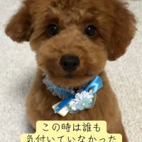 子犬のえるもくん2