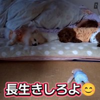 一緒に眠る