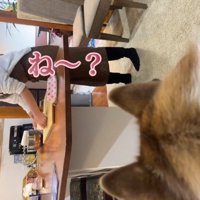 パンを作るママ3