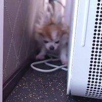 とっても狭いところにいた！