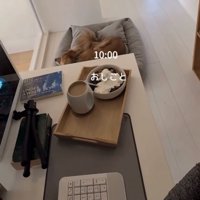 机のそばで眠る犬