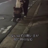 いないはずの家族と遭遇