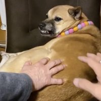 ムキ顔！！