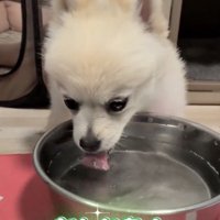 指導の甲斐がありました