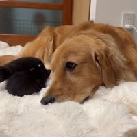 温かな触れ合いにホッコリ