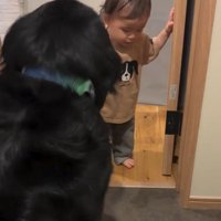 立ち上がるロッキーくん