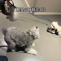 もなかちゃんの成長⑩