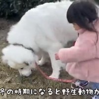 草むらの匂いを嗅ぐ犬と見守る子ども