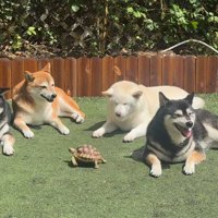お庭で仲良くのんびり♪