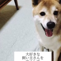 笑顔を見せる犬