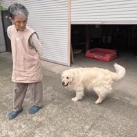 現在の2人の姿は…